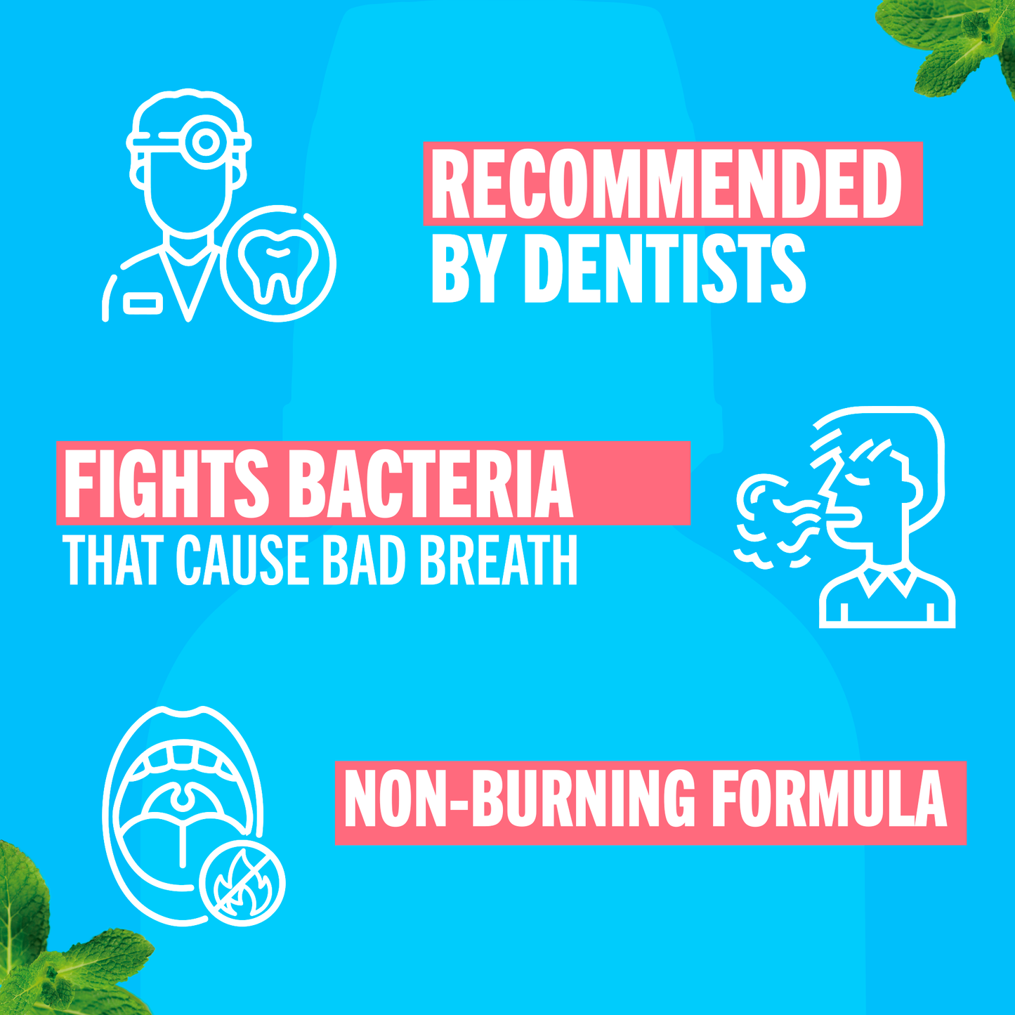 TheraBreath Icy Mint Mouthwash 16oz (4/3Pkx16Oz CLM)