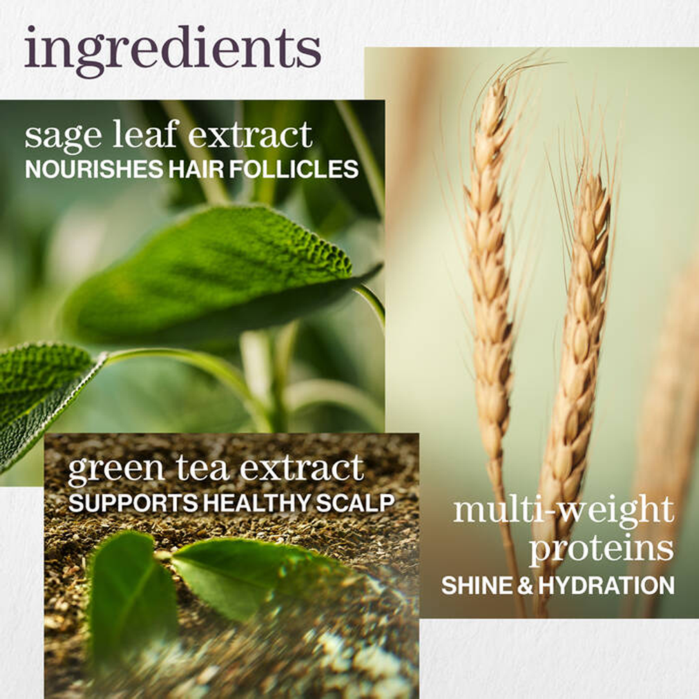 Pureology Hydrate Conditioner 9 oz / 266 ml