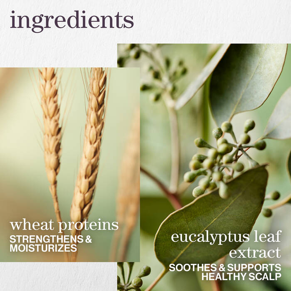 Pureology Hydrate Sheer Shampoo 9 oz / 266 ml