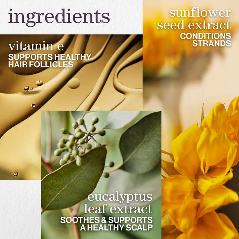 Champú Pureology Pure Volume de 266 ml: cuerpo ligero y volumen para cabello fino y teñido.