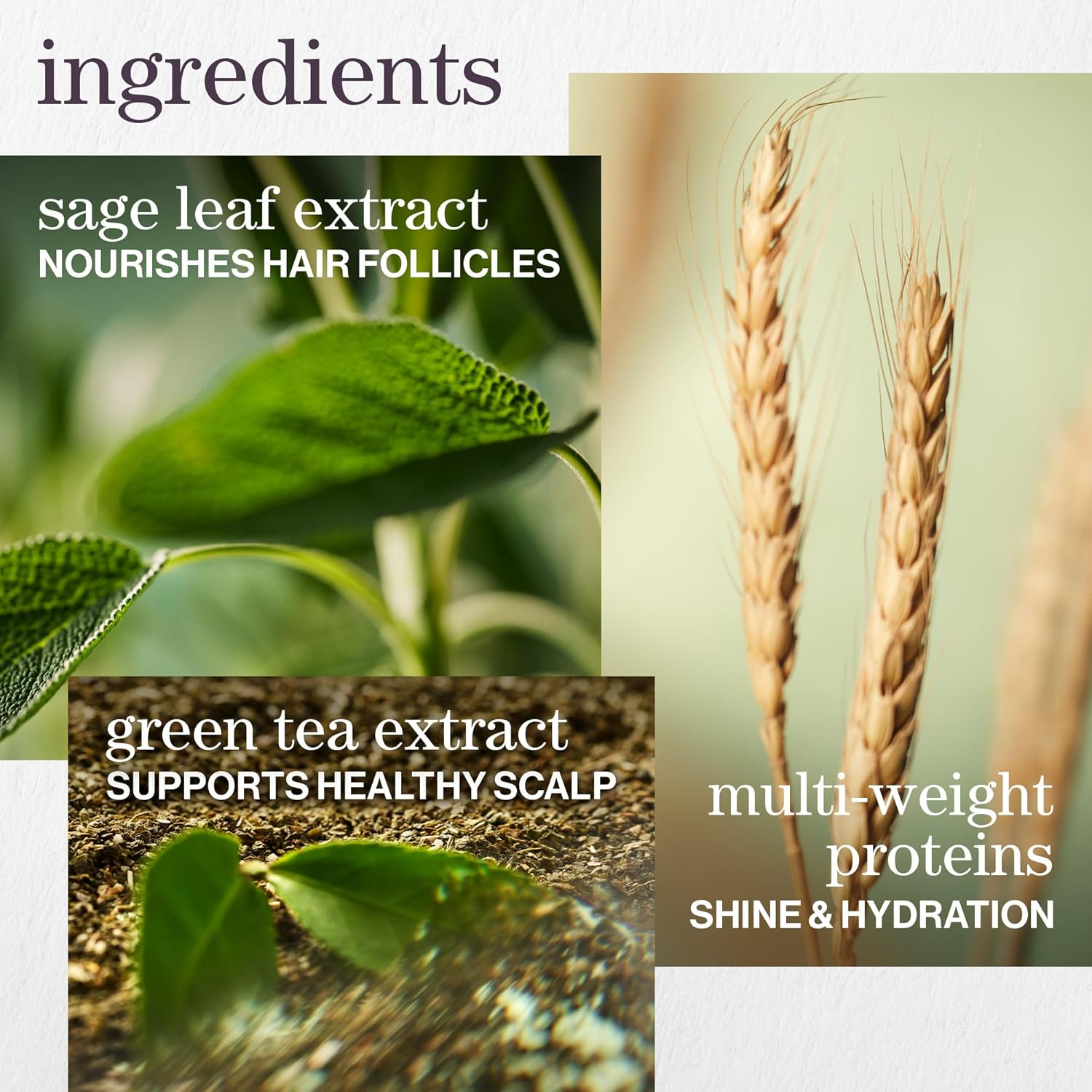 Pureology Hydrate Conditioner Gallon