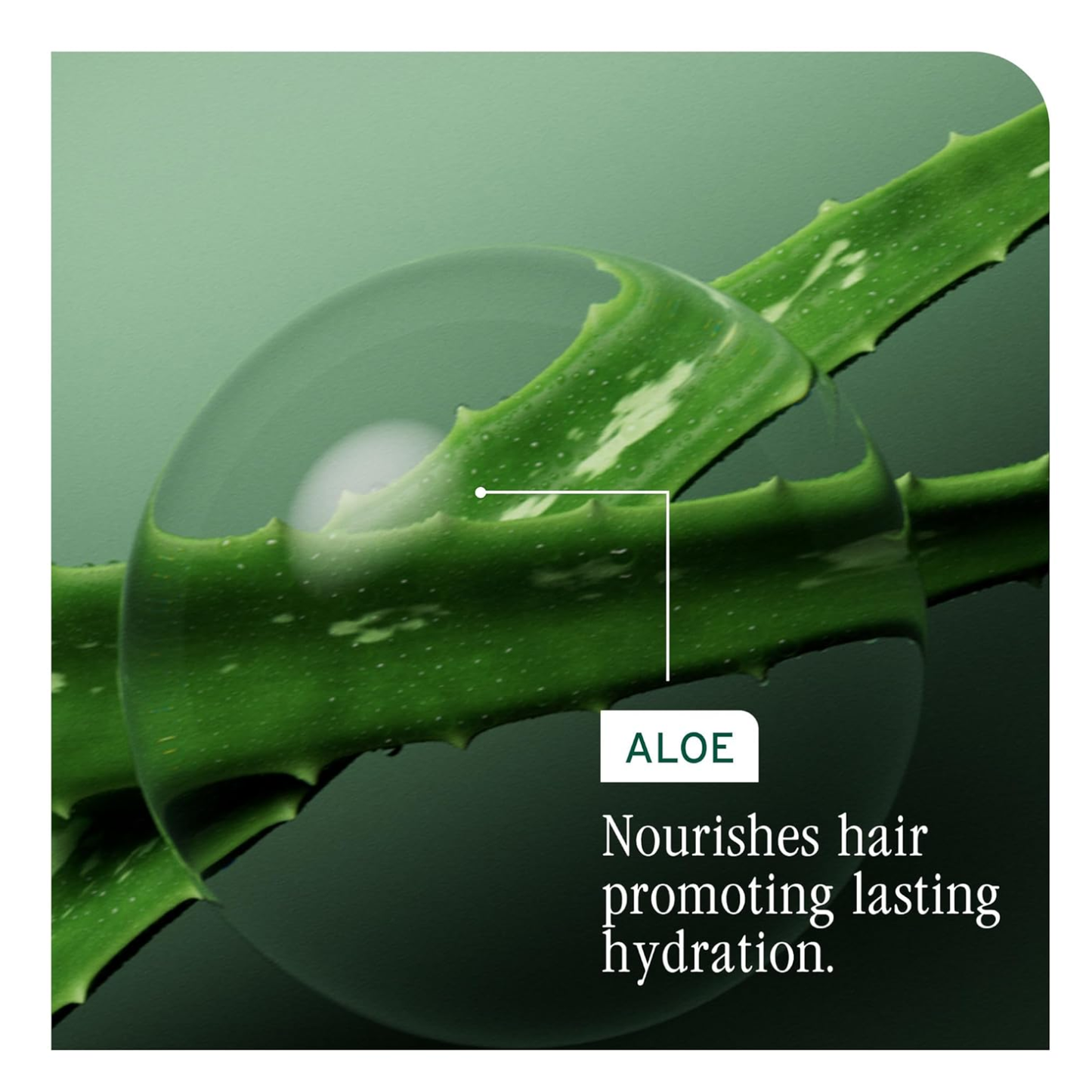 Biolage HydraSource Deep Conditioning Treatment Pack