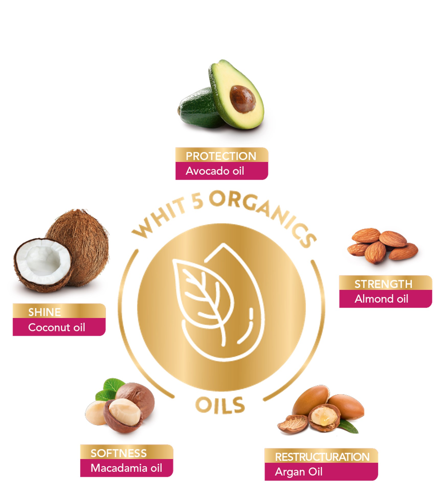 DUO Color Nutrition (K/S) 01 Blue Black